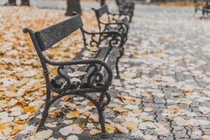 A row of empty wrought-iron park benches on a paved path covered in fallen autumn leaves.